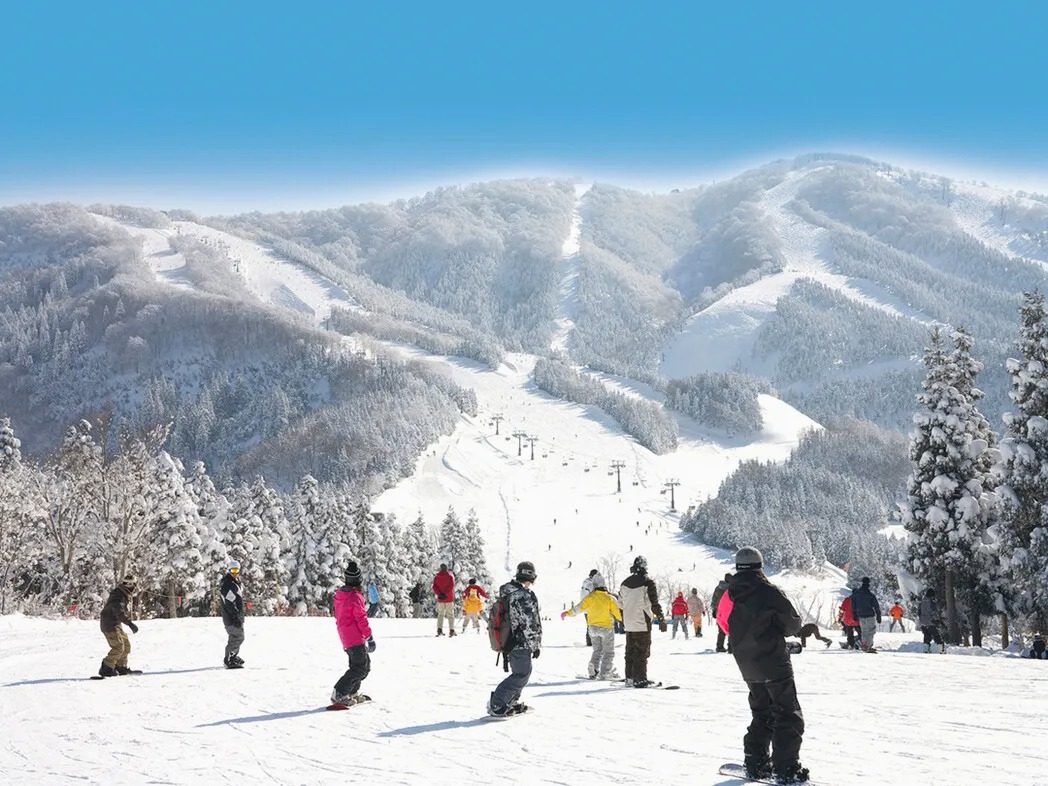 北海道滑雪場雪山全景,滑雪者於雪坡上滑行